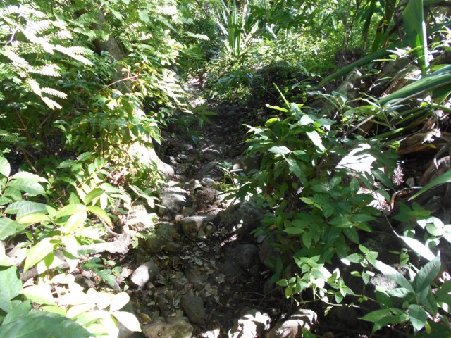 Le sentier caillouteux devient plat par endroits