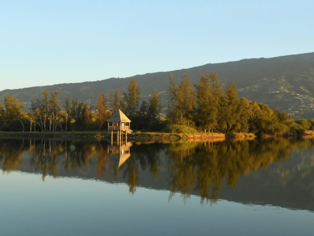En quelques minutes les premiers rayons donnent de belles couleurs jaunes