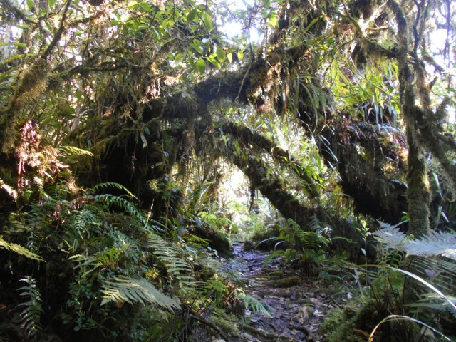 Nouvelles arches qui imposent de baisser la tête
