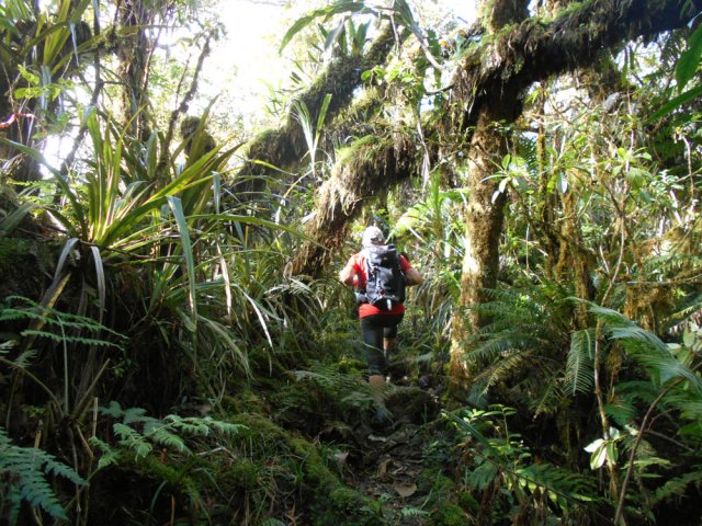 Le sentier est étroit par endroits mais ne se perd jamais