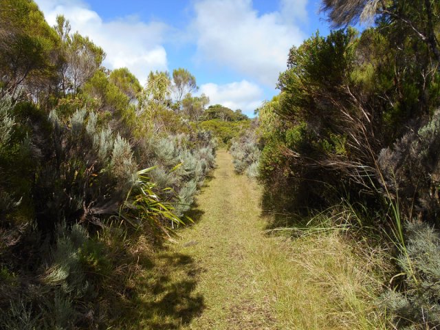 Les derniers mètres avant la piste de Takamaka