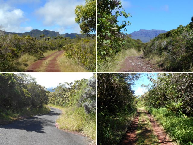 Terre, cailloux, goudron ou herbe : on foule différents types de sol