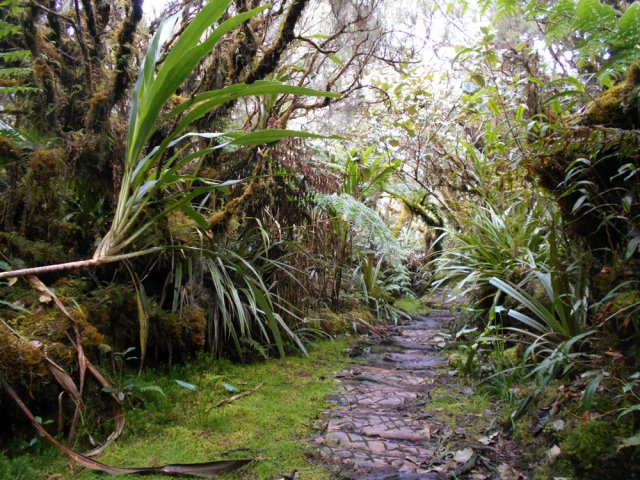 Même rôle joué par les rondins de bois