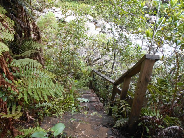 L'escalier qui rejoint la Rivière des Marsouins