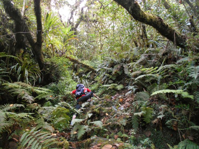 La montée est plus forte sur cette rive de la rivière