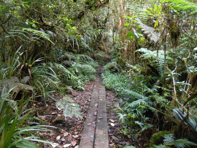 Quelques planchers grillagés relèvent un peu le sentier