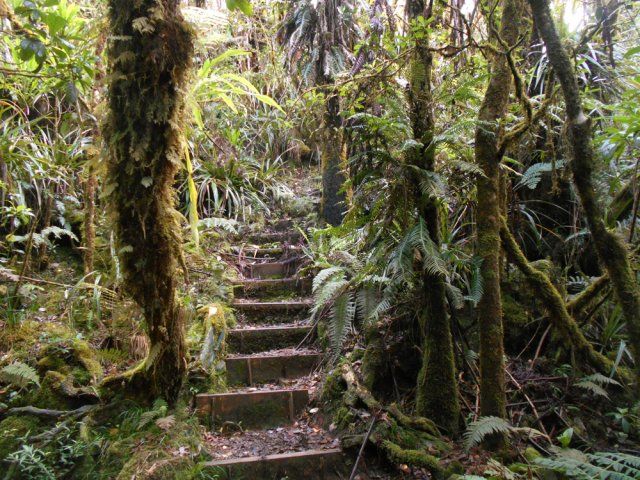 Peu de pentes et toujours facilitées par des planches
