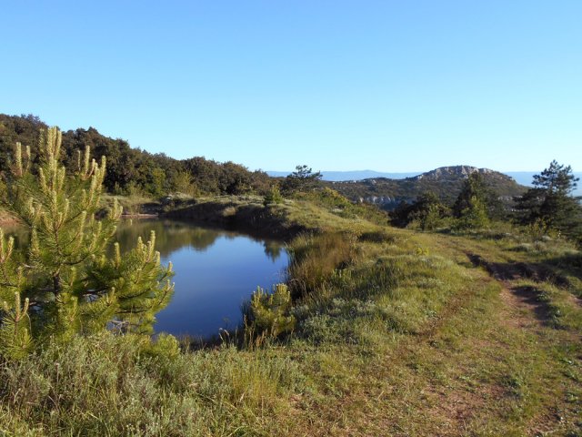 Petites mares d'altitude dans un cadre verdoyant