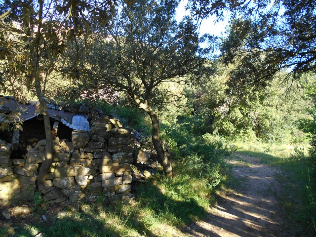 Quelques vestiges de métairies abandonnées subsistent en bord de sentier