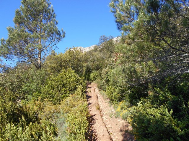 On aperçoit la falaise qu'on va bientôt retrouver