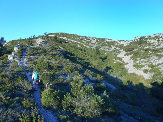 Sentier bien marqué dans la végétation rase vers le Roc Gris