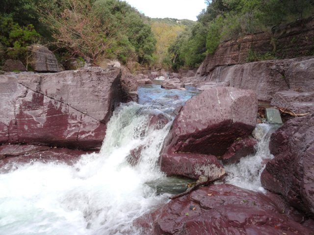 La partie amont du Briant coule dans des grès rouges
