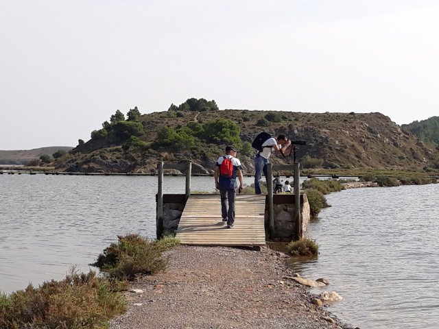 Marquer des arrêts pour trouver toutes les espèces d'oiseaux qui habitent le lieu