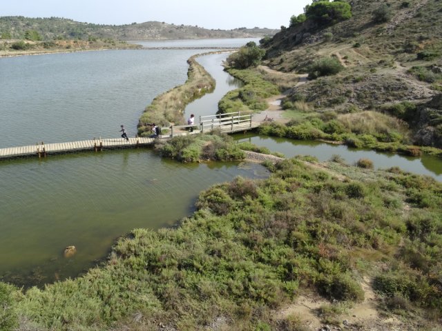 On distingue une partie de l'Etang du Doul
