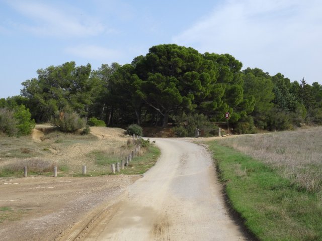 La piste qui ramène au village