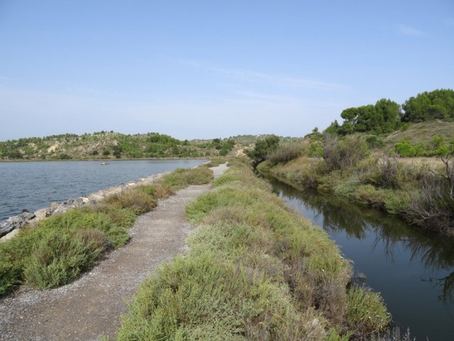 Quelques passages parallèle à la petite route permettent de voir des oiseaux
