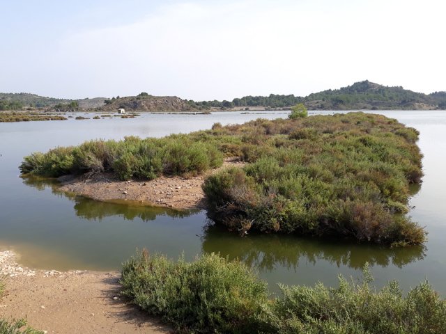 L'eau est deux fois plus salée que la méditerranée toute proche