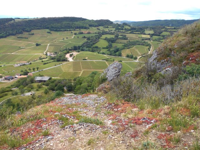 Les panoramas sur les vignes s'agrandissent