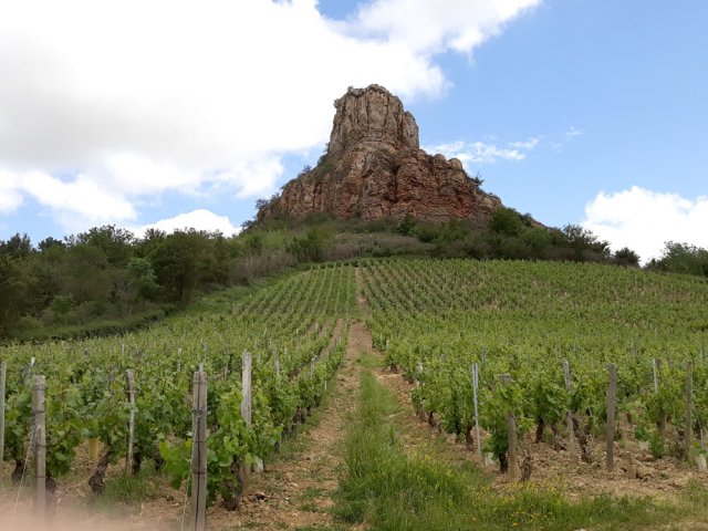 La classique photo de la roche depuis les vignes du départ