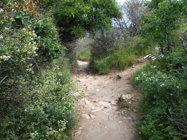 Prendre à gauche à l'embranchement