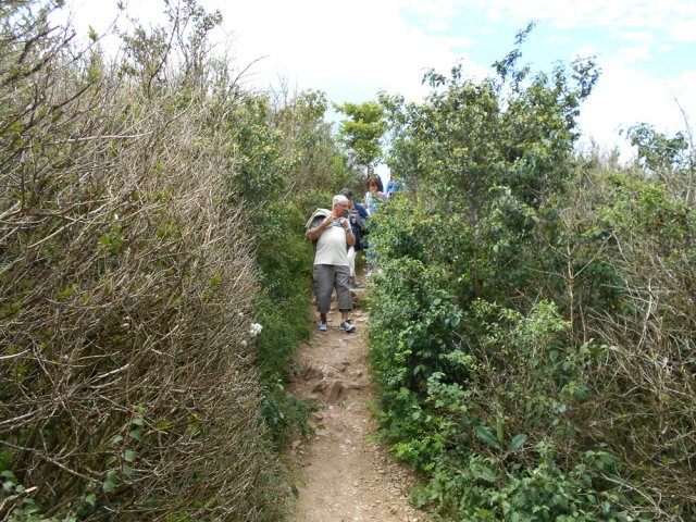 Le sentier, moins fréquenté, est plus étroit