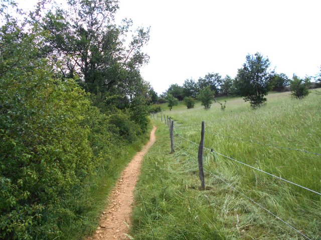 Remontée le long des prairies avant d'emprunter le chemin de l'aller