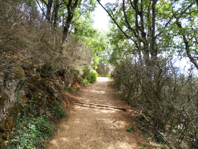 Sentier large et facile pour tous