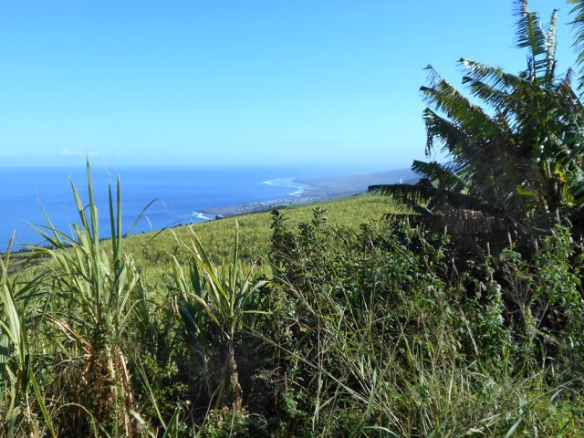La vue porte jusqu'à l'Ermitage les Bains et son lagon
