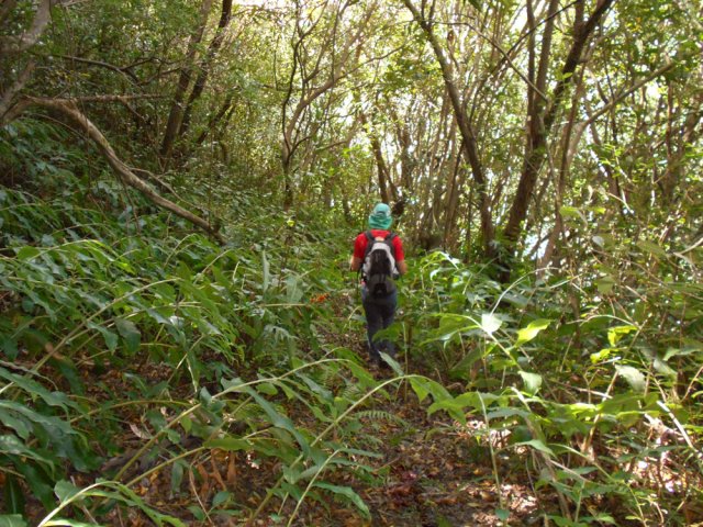 Descente vers le Bassin Missouk