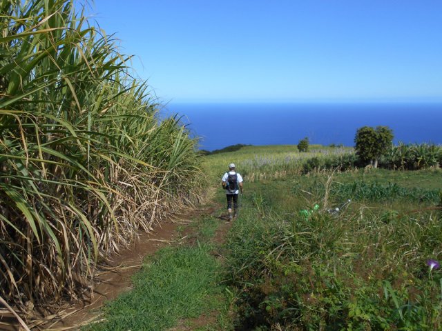Le Chemin de la Carionnette évite bien des lacets de la route