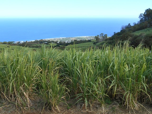 Vues sur Stella Matutina depuis le Chemin Quatre Sous