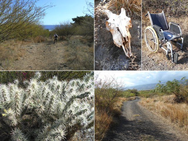 La piste entre les Quatre Robinets et le cimetière