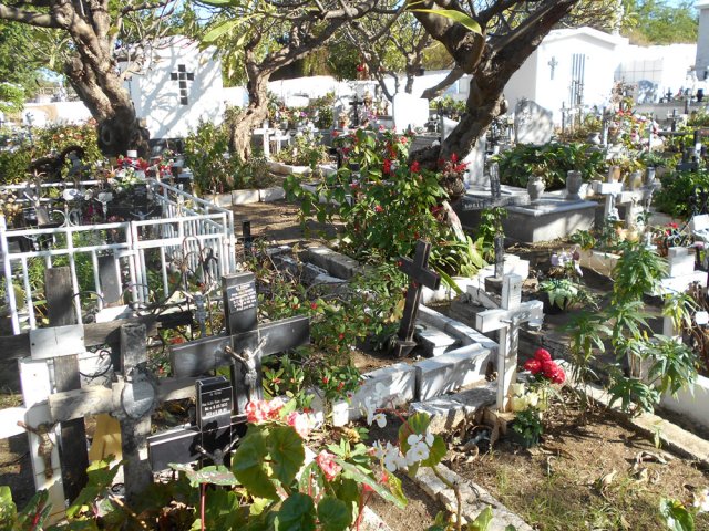 Le cimetière de Saint-Leu et ses grands frangipaniers