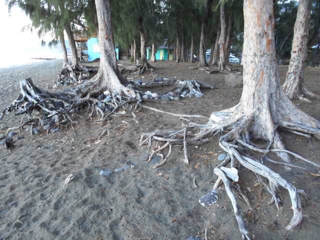 Retour à la mairie en passant par la plage de Saint-Leu