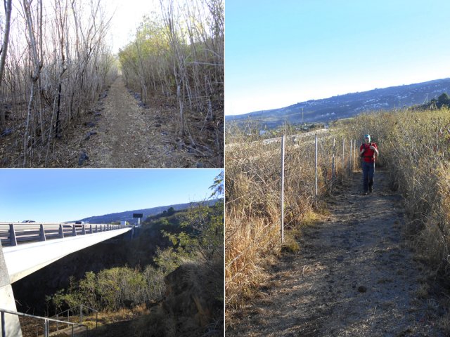 Avant et après la route des Tamarins