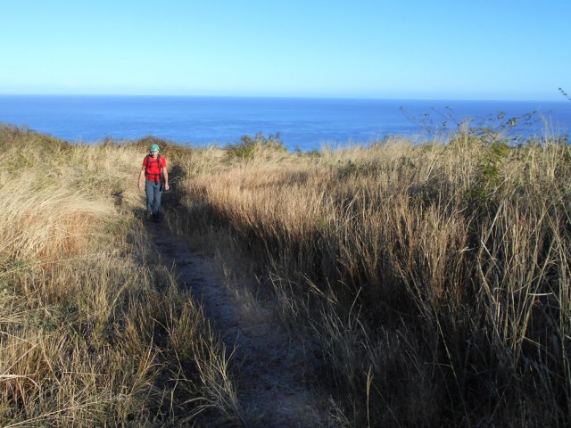 Pas d'ombre mais 2 kilomètres gagnés dans la savane