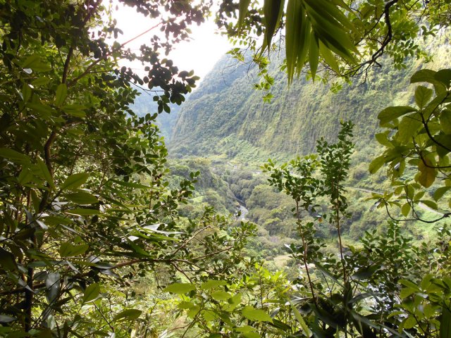 Point de vue sur la vallée de la Rivière du Mât durant la montée