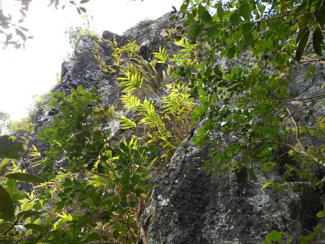 Une idée de la barre rocheuse qu'il faut franchir pour trouver d'autres cascades