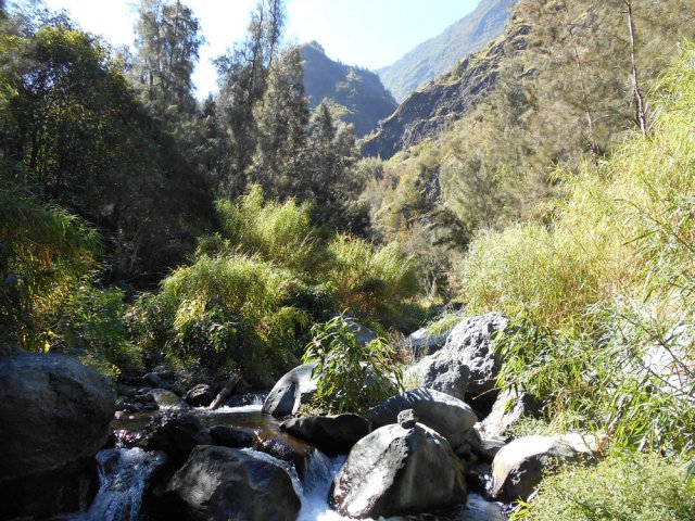 Une très bonne idée du Petit Bras de Cilaos sur 3 km