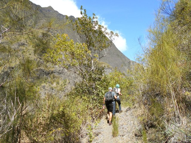 Ce n'est plus le même rythme de marche sur le sentier de Palmiste Rouge