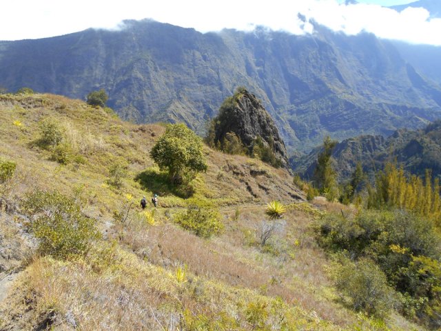 Le sentier en pente douce bordé de plusieurs tuyauteries de transport d'eau