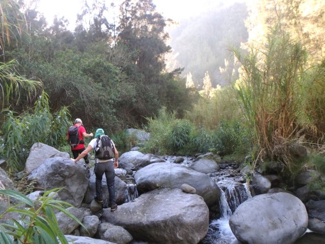 Il est préférable de marcher sur les roches que dans les cannes fourragères