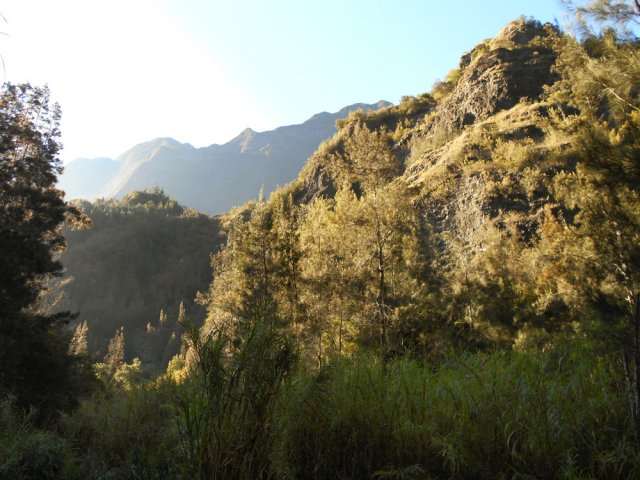 Peu de vues sur les montagnes en raison de l'étroitesse de la vallée
