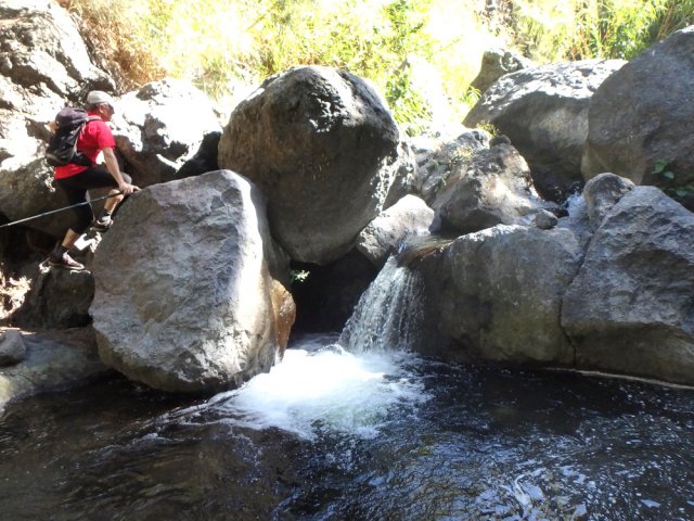 Beaucoup de bassins à truites et petites chutes d'eau