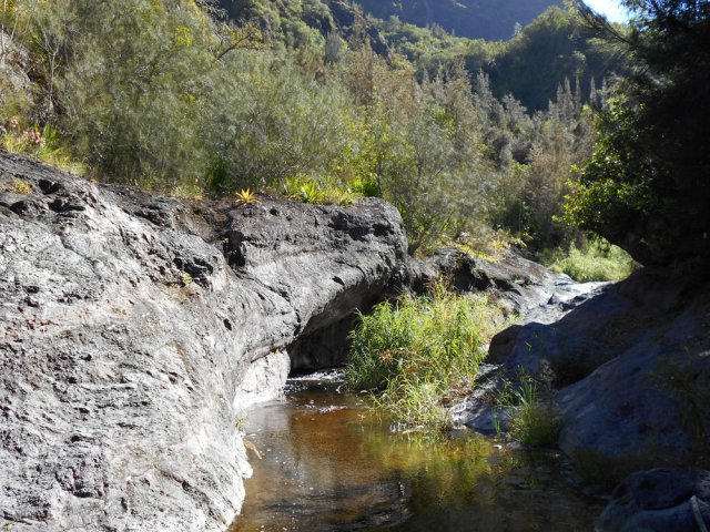 Végétal et minéral créent souvent de jolis endroits reposants