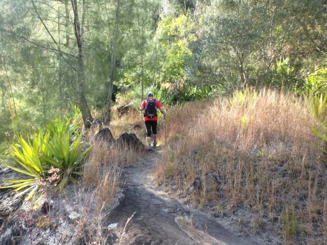 La montée débute sous les filaos et bois d'olive