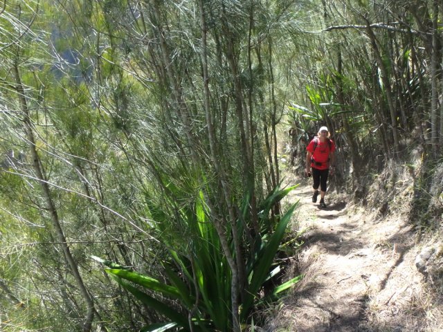 La montée n'est jamais forte entre chocas et filaos