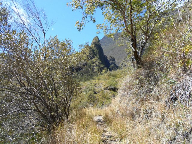 La région assez sèche jaunit les herbes