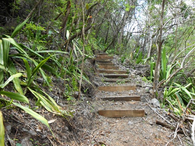 La remontée vers la route du Pavillon est courte et facile