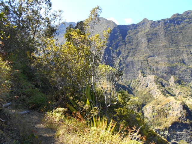 Sentier en descente facile, sans précipice